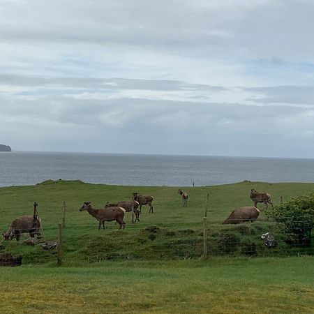 Coral Cabins Dunvegan  Zimmer foto